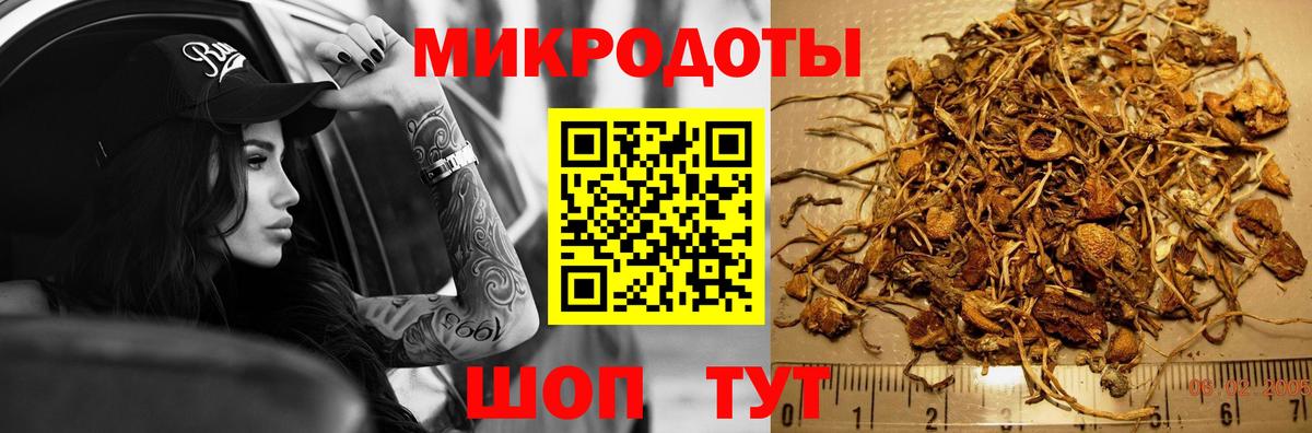 Псилоцибиновые грибы MAGIC MUSHROOMS  Вход с VPN  Михайловка 