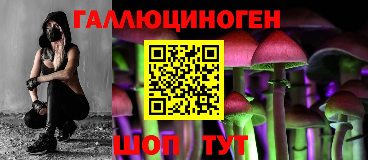 Наркошоп  Гашиш  Вход с VPN  МЕФ кристаллы  Михайловка  LSD-25  Cocaine  ТГК  Меф  НБОМе 